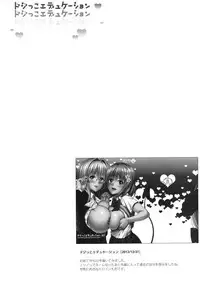 (C86) [Maniac Street (Oono, Sugaishi)] Harem Collection (To LOVE-Ru) [Decensored] [Chinese] [兔神個人漢化]