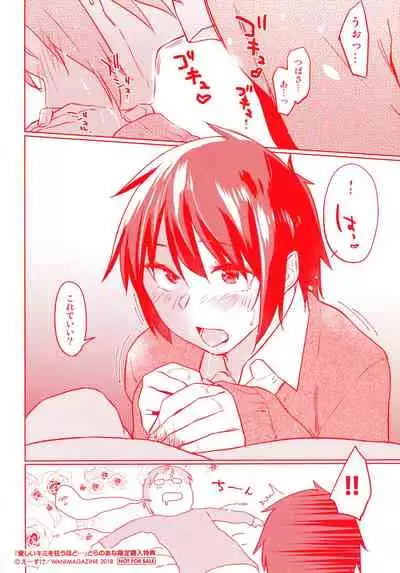 Itoshii Kimi wo Kuruu Hodo Toranoana Gentei 4P Leaflet Tsubasa ga Hajimete Fera suru Hanashi