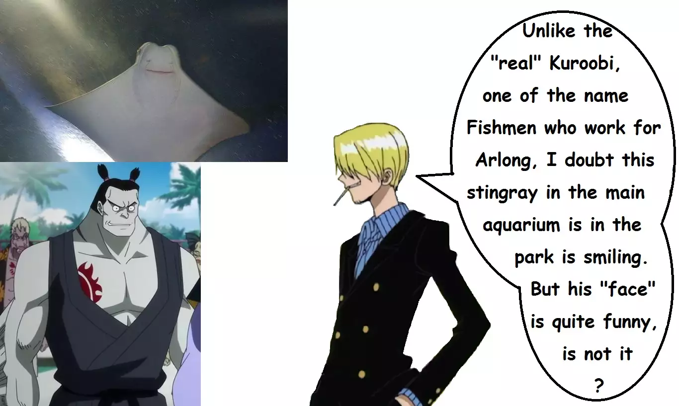 Expedition One Piece English