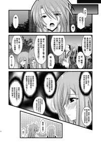 [valssu (Charu)] Melon ga Chou Shindou! R Soushuuhen I (Tales of the Abyss) [Chinese] [流星汉化] [Digital]