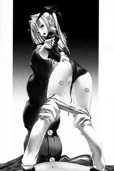 (C82) [MISS BLACK OFFLINE (MISS BLACK)] Palm top mistress (Busou Shinki) [English]