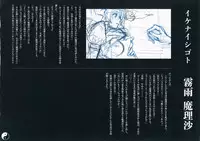 (C86) [Chroma of Wall (saitom)] Gensoukyou Inkou Kirokushuu (Touhou Project)