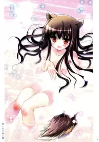 (C73) [Chimaroni? (Chimaro)] Yoru ni Dake Saku Yume (Spice and Wolf)