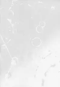 (C88) [Toumei Kousoku (Chika)] Maya-sama wa Teitoku Nanka ni Maketari Shinai? (Kantai Collection -KanColle-)