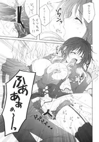 (C80) [Pyonpyororin (Akoko.)] partner (Seikon no Qwaser)