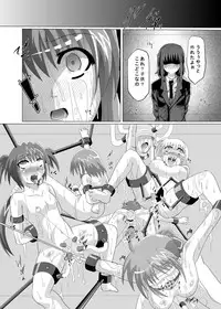 (SC45) [Kurodama-ya (Akadama)] Shigen Kaisyuu (Mahou Shoujo Lyrical Nanoha)