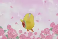 [Kekocha] Henshuu Kakamiya san no kannouteki na Oshigoto #1 [Chinese]