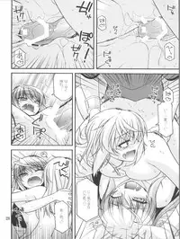 (COMIC1☆5) [CRIMSON GROUND (Miyashiro Sousuke)] Schwarzer Rafale (Infinite Stratos)