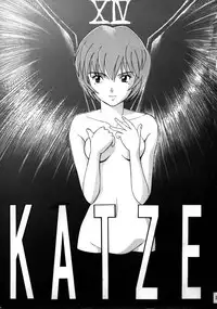 (C50) [Moriman Shouten (Various)] Katze 14 (Neon Genesis Evangelion)