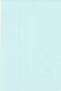 (C50) [Studio Dellforce (Various)] Sekai Seifuku Sailorfuku 10 (Neon Genesis Evangelion)