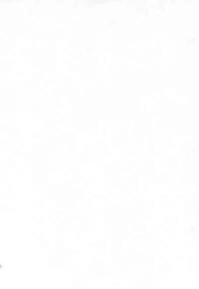 (Princess Festa 8) [COUNTER ATTACK (Gyakushuu Takeshi)] Everyday Brand New Day 4 (Fushigiboshi no Futagohime)