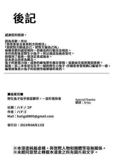 Yasei no Usagi ga Nakama ni Naritasou ni Kochira wo Miteiru | 野生兔子似乎想當夥伴,一直町著你看