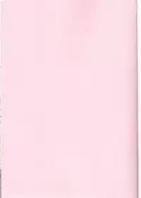 (C92) [Ranshi to Kimi to. (santa)] Mahou Shoujo Saimin PakopaCause (Fate/Grand Order)