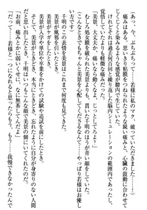 年上メイドの新婚日記