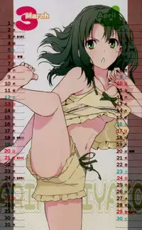 2011 Type-Moon Calendar [Moriisan-Tokono]