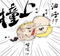 ラジコン（Chinese)