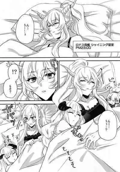 (C100) [noPland (mosuke)] Wish (Arknights)