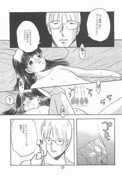 (CR17) [SYSTEM GZZY (Eimu Yuu)] VIOLIN