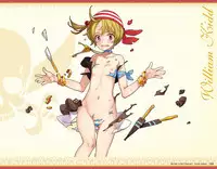 Eiyuu＊Senki GOLD Visual Fanbook