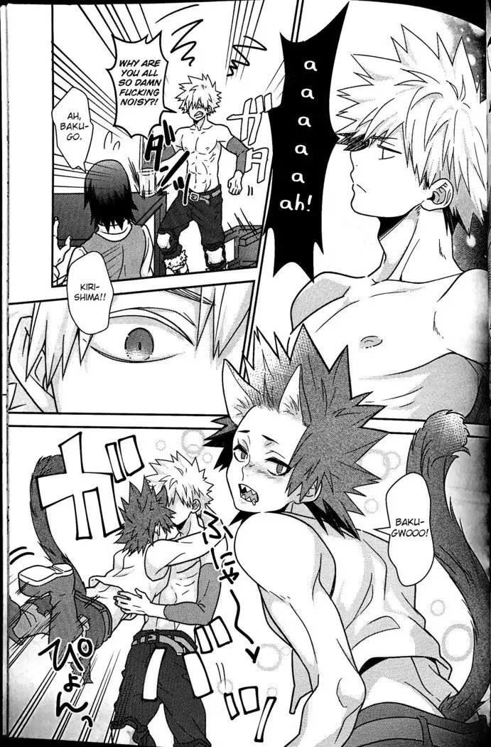 Segregated Euphoria- Boku no Hero Academia dj