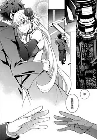 (COMIC1☆11) [Crazy9 (Ichitaka)] C9-29 W Alter-chan to (Fate/Grand Order) [Chinese] [无毒汉化组]