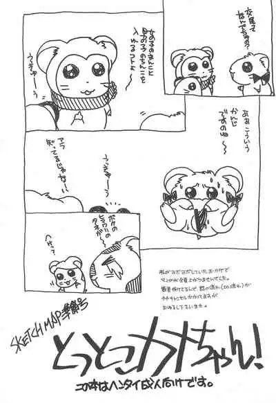 Tottoko Kana-chan! SKETCH MAP