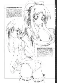 (C75) [Magic Private Eye (Mitsuki Mantarou)] Mahou Shoujo 5 (Mahou Shoujo Lyrical Nanoha)