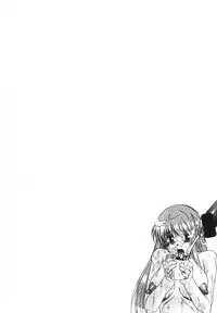 [Shuudan Bouryoku (集団暴力)] HOOLIGANISM File/10 RECORD OF ALDELAYD ExhibitionDX2