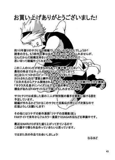 [NARUHO-Dou (Naruhodo)] SakuHina Inpuden (Naruto) [Digital]