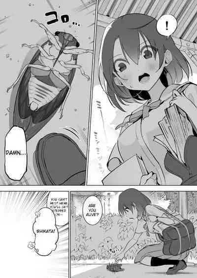 Semi x JK | Cicada x JK