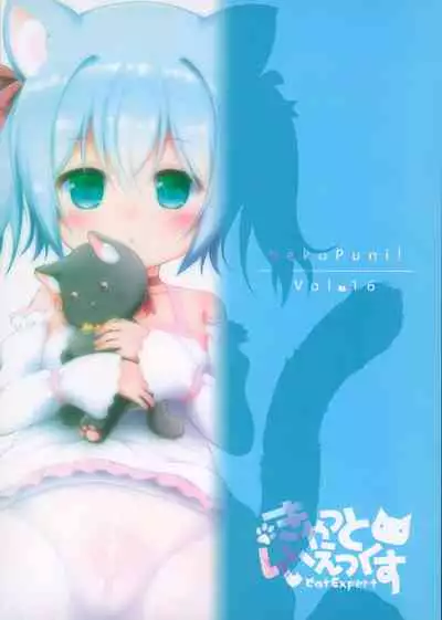 (C97) [Cat Expert (Nekousa)] Neko Puni! vol.16