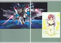 (C89) [HENREIKAI (Kawarajima Koh)] Tone Extra Heroine's Compilation File (Various)