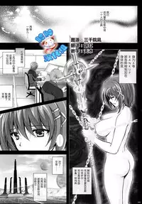 [Cyclone (Reizei, Izumi)] HAYATEN 2nd Days After (Mahou Shoujo Lyrical Nanoha) [Chinese] [脸肿汉化组]