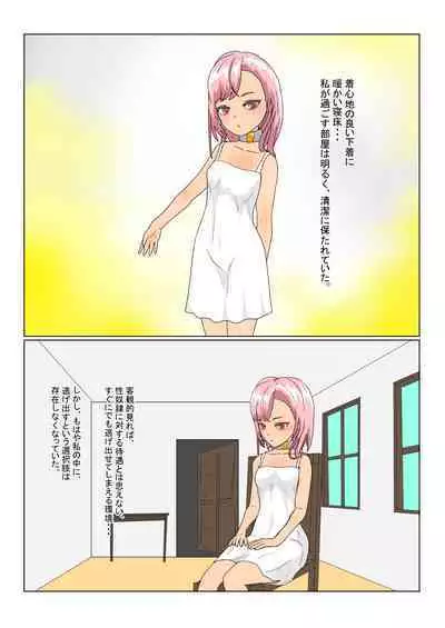 [Department Y Research Institute] Rorisakyubasu Wa Ningen Ni Tsukamaruto Dō Naru No?