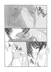 [Nekoya] Mahou Shoujo Lyrical na Echii Hon 9 (Mahou Shoujo Lyrical Nanoha)