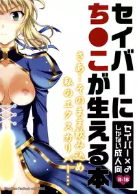 (C82) [SKUG (BUSHI)] Saber ni Chinko ga Haeru Hon (Fate/zero)