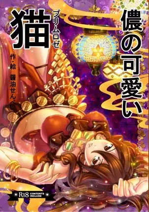 Washi no kawaii neko