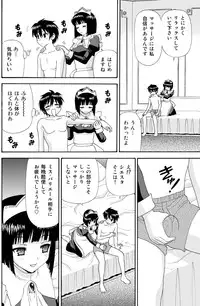 [Aka Shiroki Iro] To Aru Meido no Tashinami (Zero no Tsukaima [The Familiar of Zero])