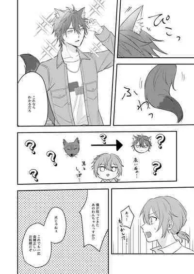 Okitsune-sama o Hiroimashita