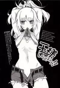 (COMIC1☆7) [Alkaloid (Izumiya Otoha)] Ousama no Iu Toori! (Fate/Apocrypha)