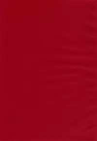 (C77) [Sankaku Apron (Sanbun Kyoden, Umu Rahi)] Akebi no Mi - Satomi AFTER [English] [Brolen]