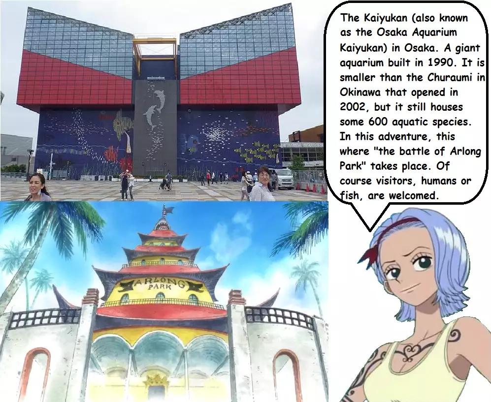 Expedition One Piece English