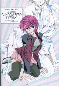 (C73) [HenReiKai (Kawarajima Koh)] SEED ANOTHER CENTURY D.E 5 (Gundam SEED)