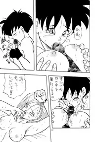 (C46) [Chirigami Goya, Fusuma Goten (Shouji Haruko)] Y (Dragon Ball Z)