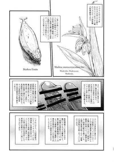 Dankon no Ethnography