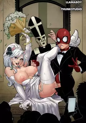 Nuptials of Black Cat