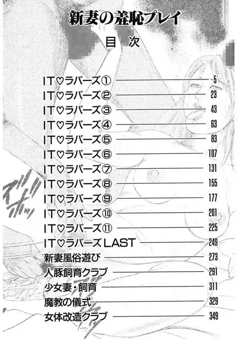 Niizuma No Shuuchi Play