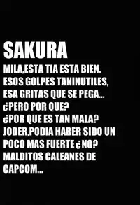 (C54) [TEX-MEX (Red Bear)] Ground Zero (Street Fighter)