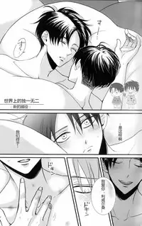 (C91) [HEAT BOY (tomomo)] La mariée heureuse | 幸福的新娘 (HEATBOY Sairokushuu 2) (Shingeki no Kyojin) [Chinese]