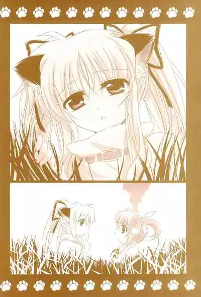 (C89) [Ameiro (Nanashiki)] Love Life -NanoFei nano Sairoku-shuu 3- (Mahou Shoujo Lyrical Nanoha)